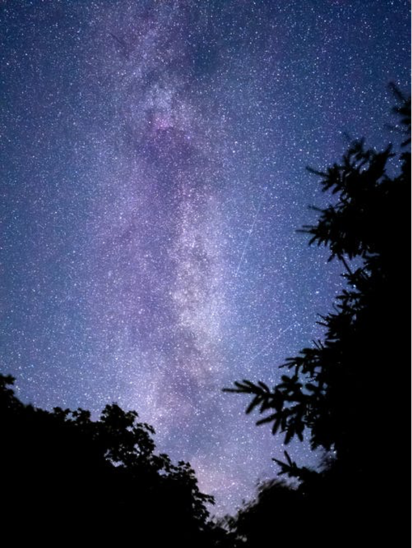 stars